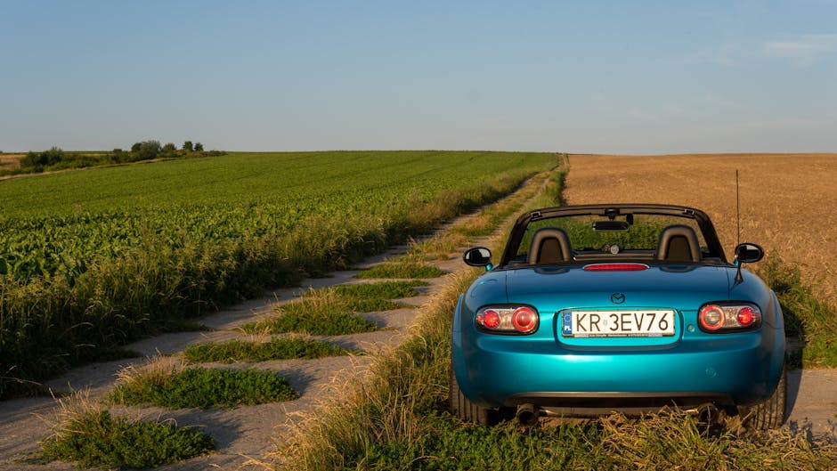 Car insurance and asset protection